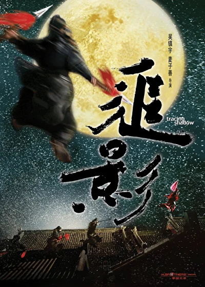 Постер к В погоне за тенью (2009)