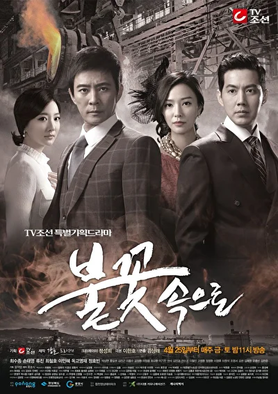 Постер к сериалу В пламени (2011)